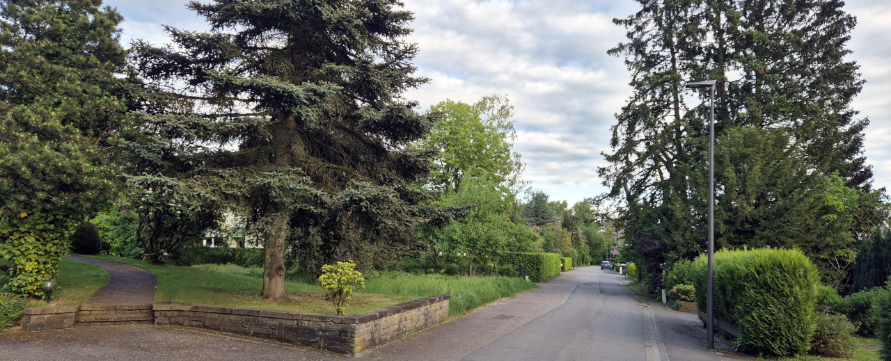 ALMK / Kigali Marathon / Nidderaanwen?